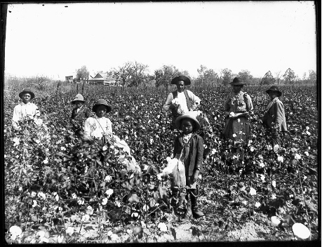 Slaves-picking-cotton.jpg